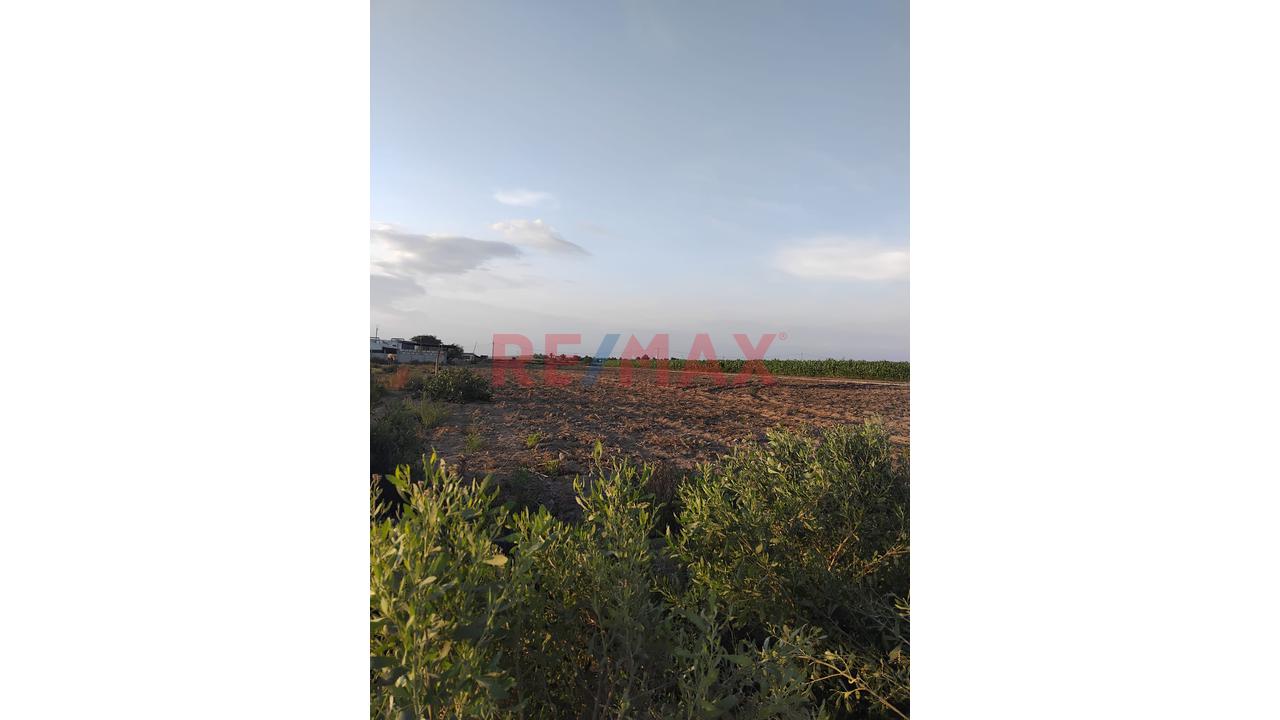 3,700 M² De Oportunidad Real En San Camilo, La Joya - 7