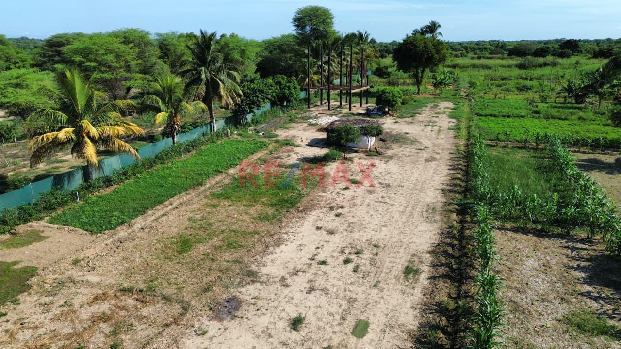 📌 Se Vende | Lote 500 M² — "La Mariposa", Piura ✅ Al Lado Del Club Náutico De Piura ✅ Acceso Al Río | ✅ 12 Min Del Centro De Piura - 3
