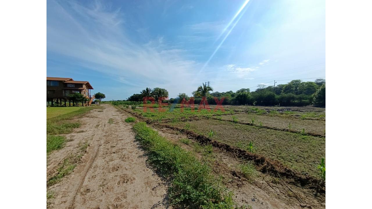 📌 Se Vende | Lote 500 M² — "La Mariposa", Piura ✅ Al Lado Del Club Náutico De Piura ✅ Acceso Al Río | ✅ 12 Min Del Centro De Piura - 5