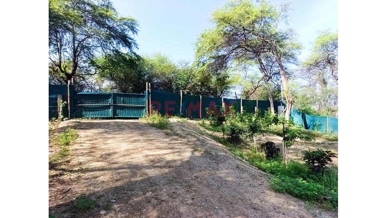 📌 Se Vende | Lote 500 M² — "La Mariposa", Piura ✅ Al Lado Del Club Náutico De Piura ✅ Acceso Al Río | ✅ 12 Min Del Centro De Piura - 7