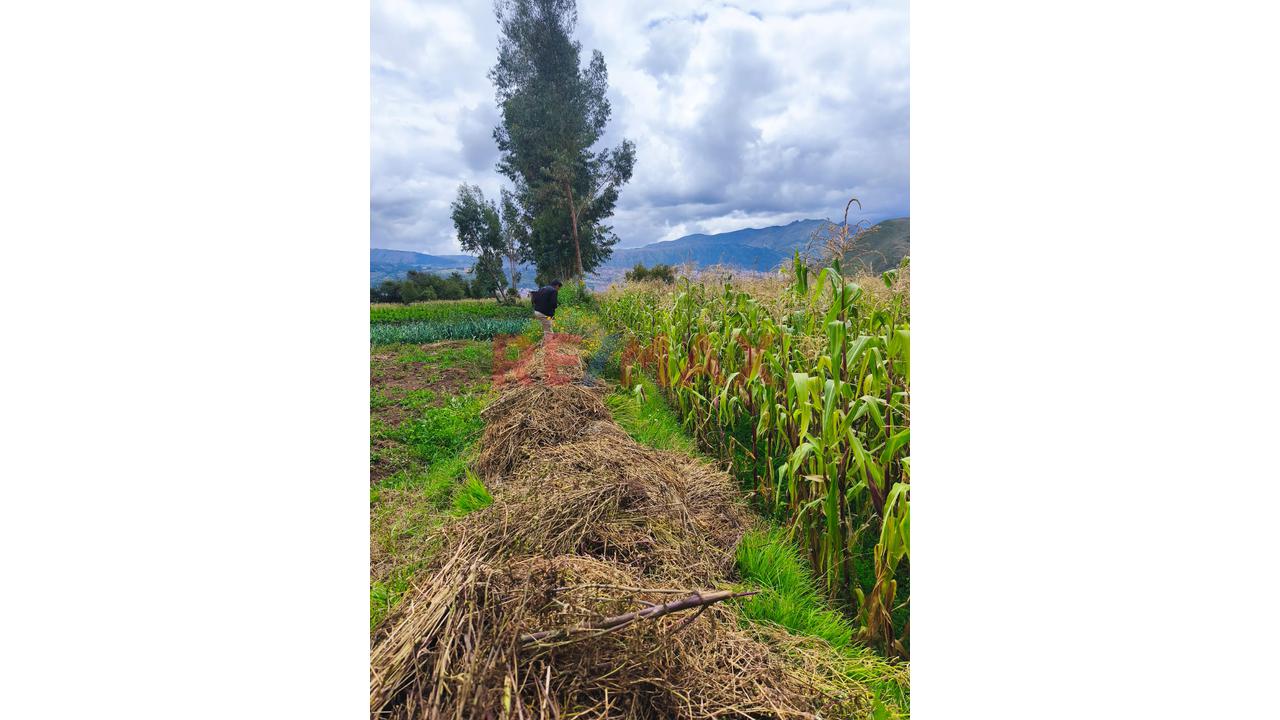 🏡 Venta De Terreno En Tancarpata – San Sebastián, Cusco - 2