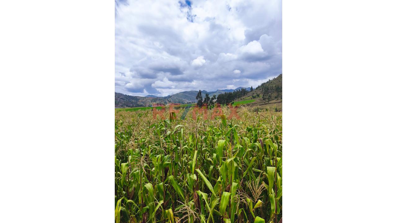 🏡 Venta De Terreno En Tancarpata – San Sebastián, Cusco - 3