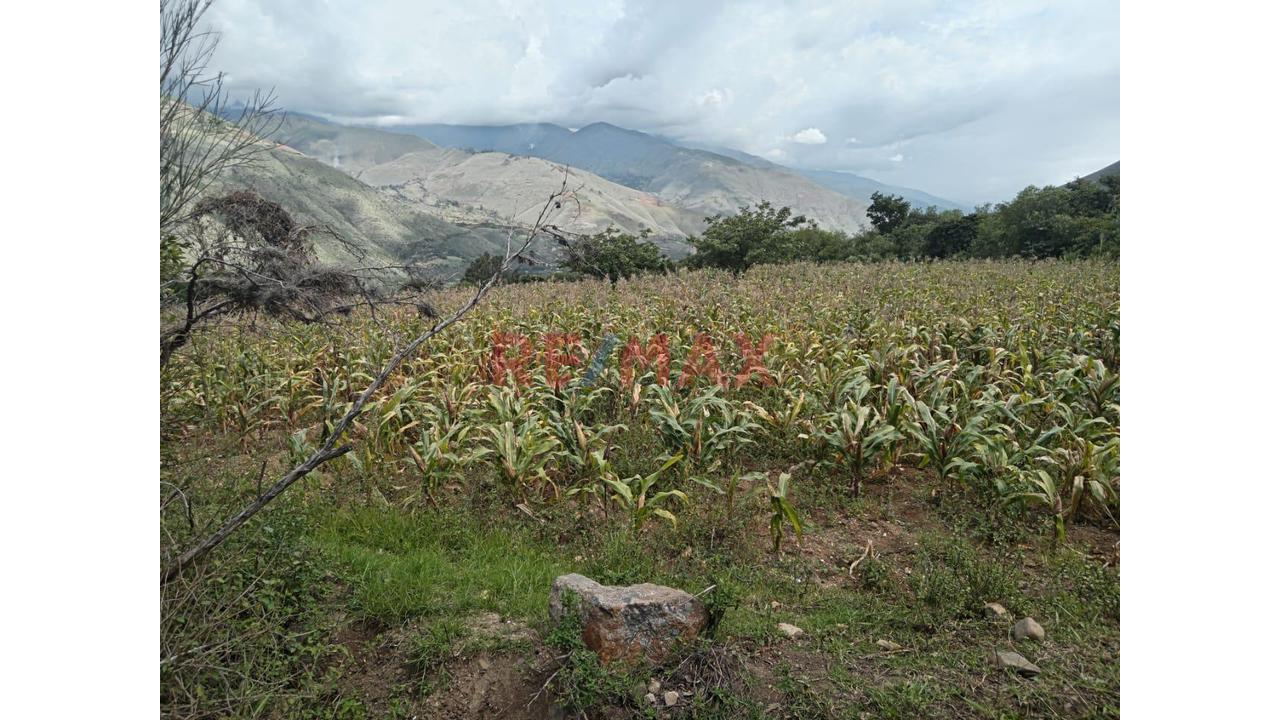 Venta De Terreno En Huanuco 20169 M2 - 4