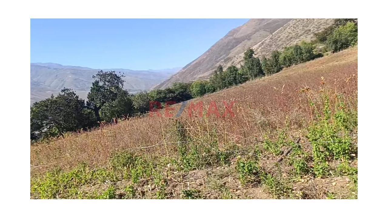 Venta De Terreno En Huanuco 20169 M2 - 3