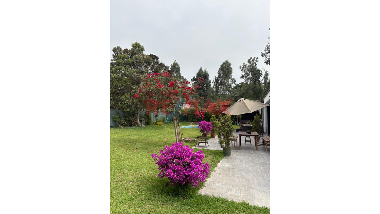 Venta De Hermosa Casa De Campo En Cieneguilla – Un Verdadero Lugar De Ensueño A Un Super Precio — foto 8