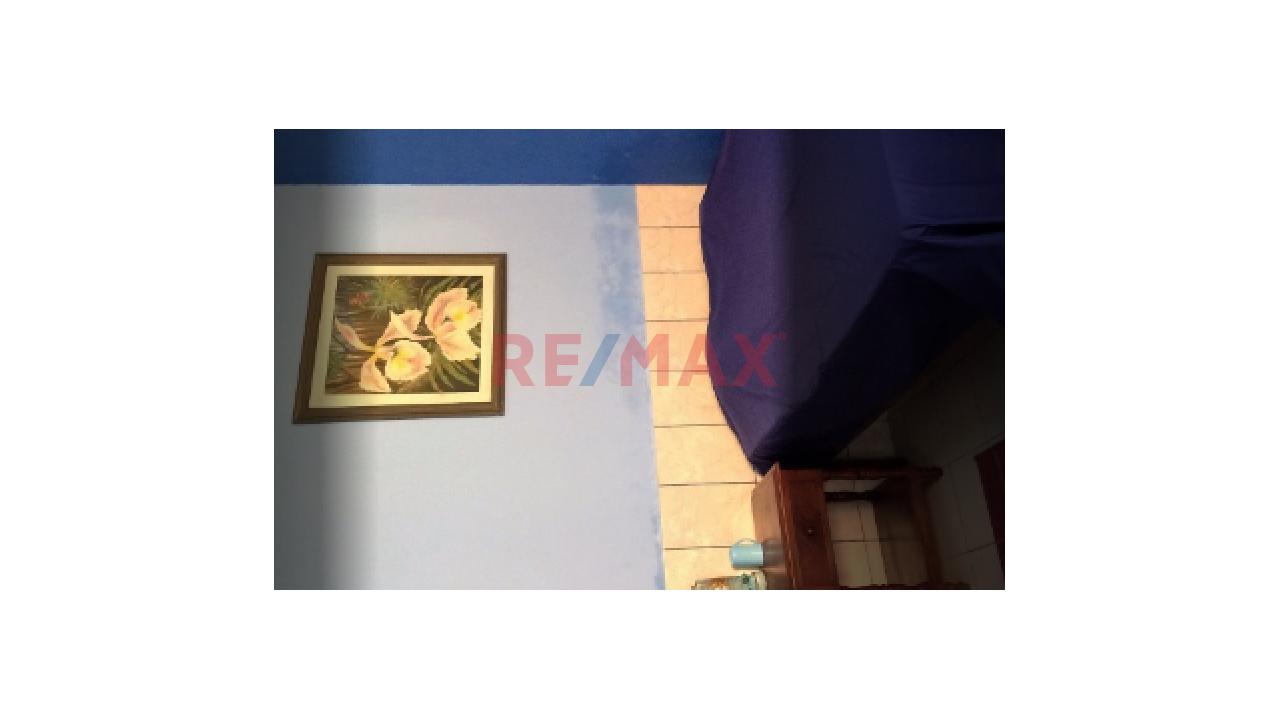 Venta Vivienda Uso Alojamiento Y Local Comercial O Terreno Para Proyecto En El Centro De Tarapoto - 14