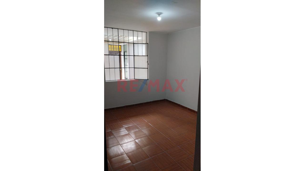 El Lugar Donde Tus Sueños Finalmente Echan Raíces 🌳💖 - 11