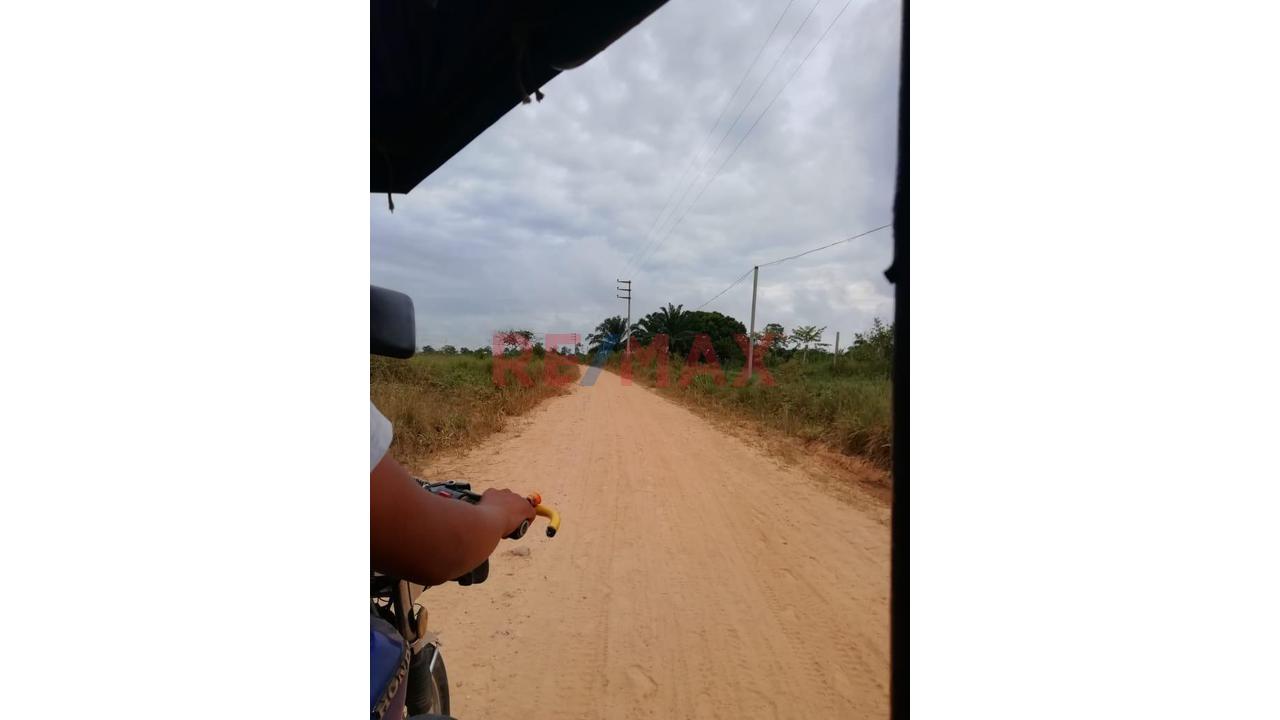 Vendo Terreno De Mas De Ocho Hectareas En Yarinacocha, Cerca A La Laguna Cashibococha 🌿🏝 - 8