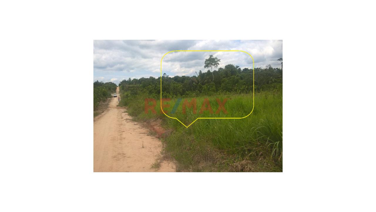 Vendo Terreno De Mas De Ocho Hectareas En Yarinacocha, Cerca A La Laguna Cashibococha 🌿🏝 - 2