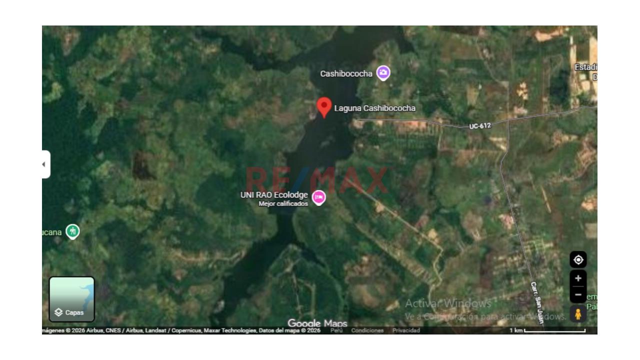 Vendo Terreno De Mas De Ocho Hectareas En Yarinacocha, Cerca A La Laguna Cashibococha 🌿🏝 - 5