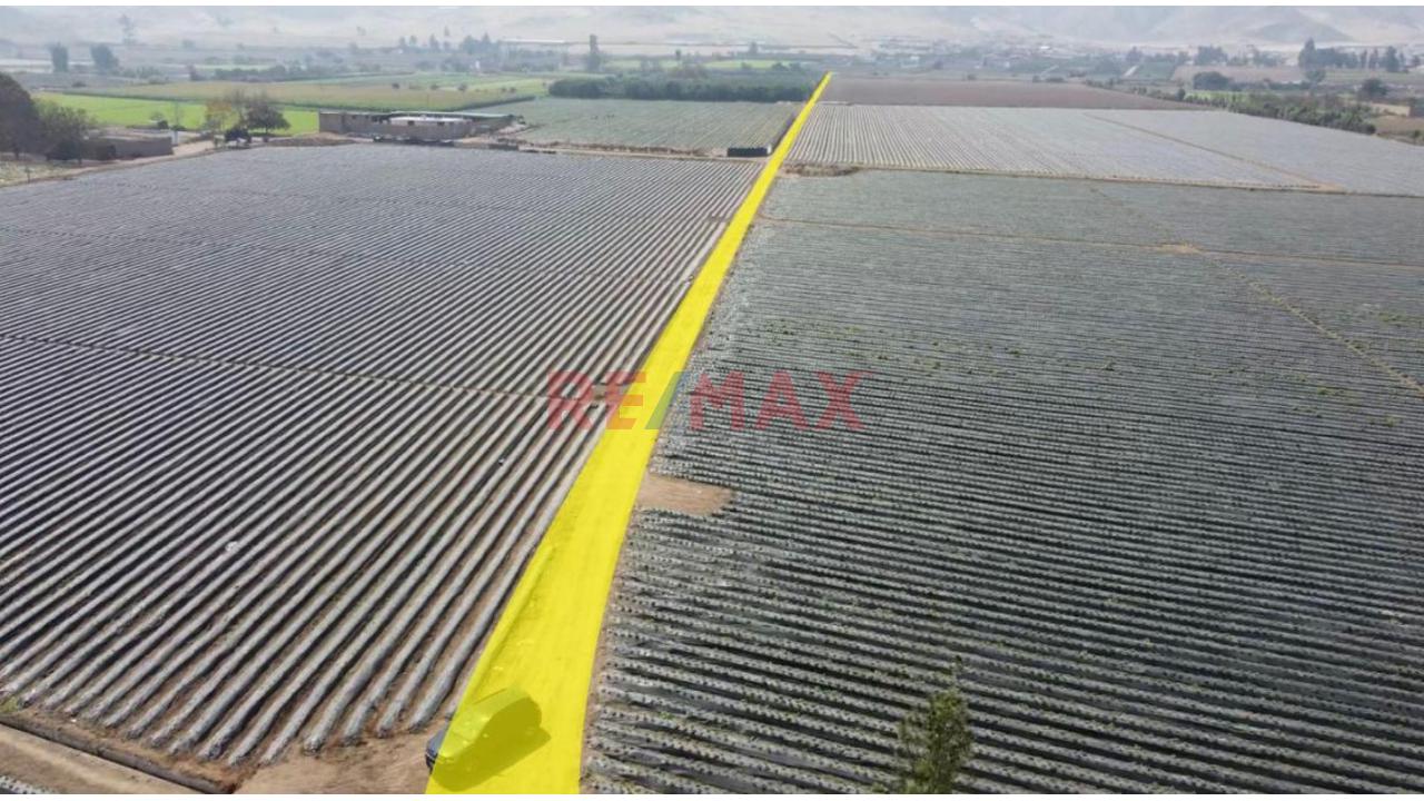 Terreno Ideal Para Inversión Segura - 7