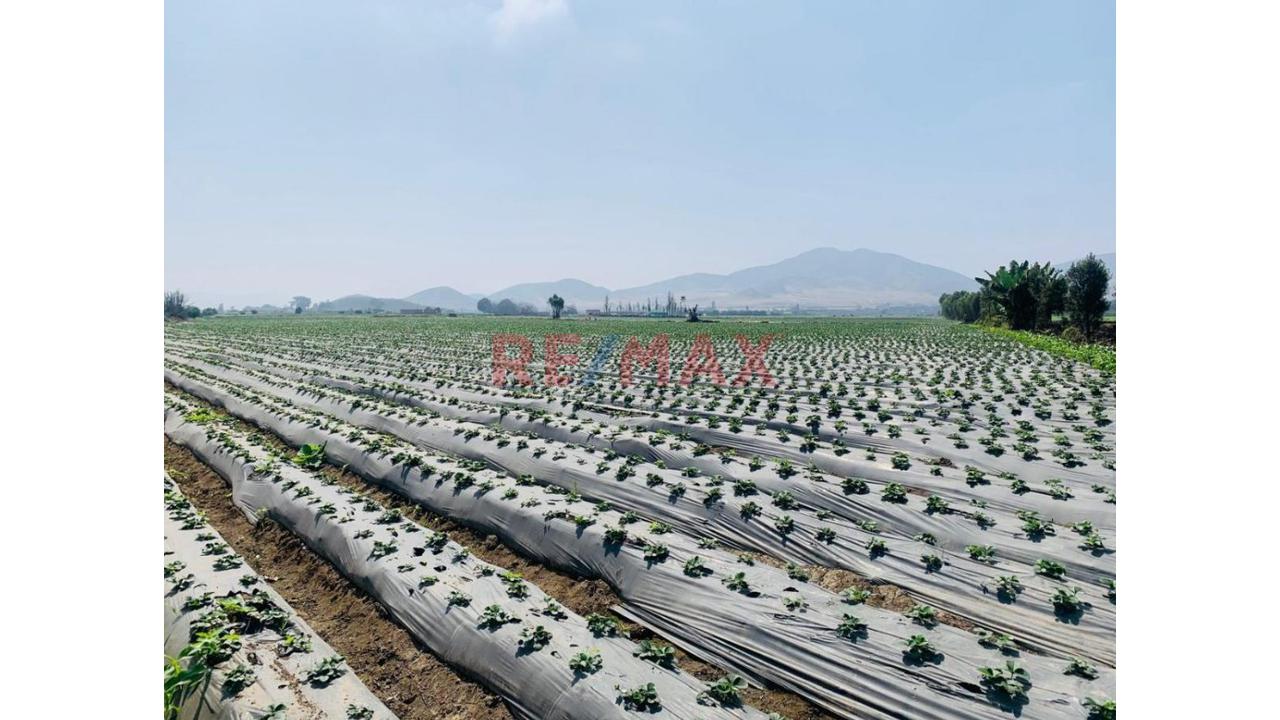Terreno Ideal Para Inversión Segura - 3