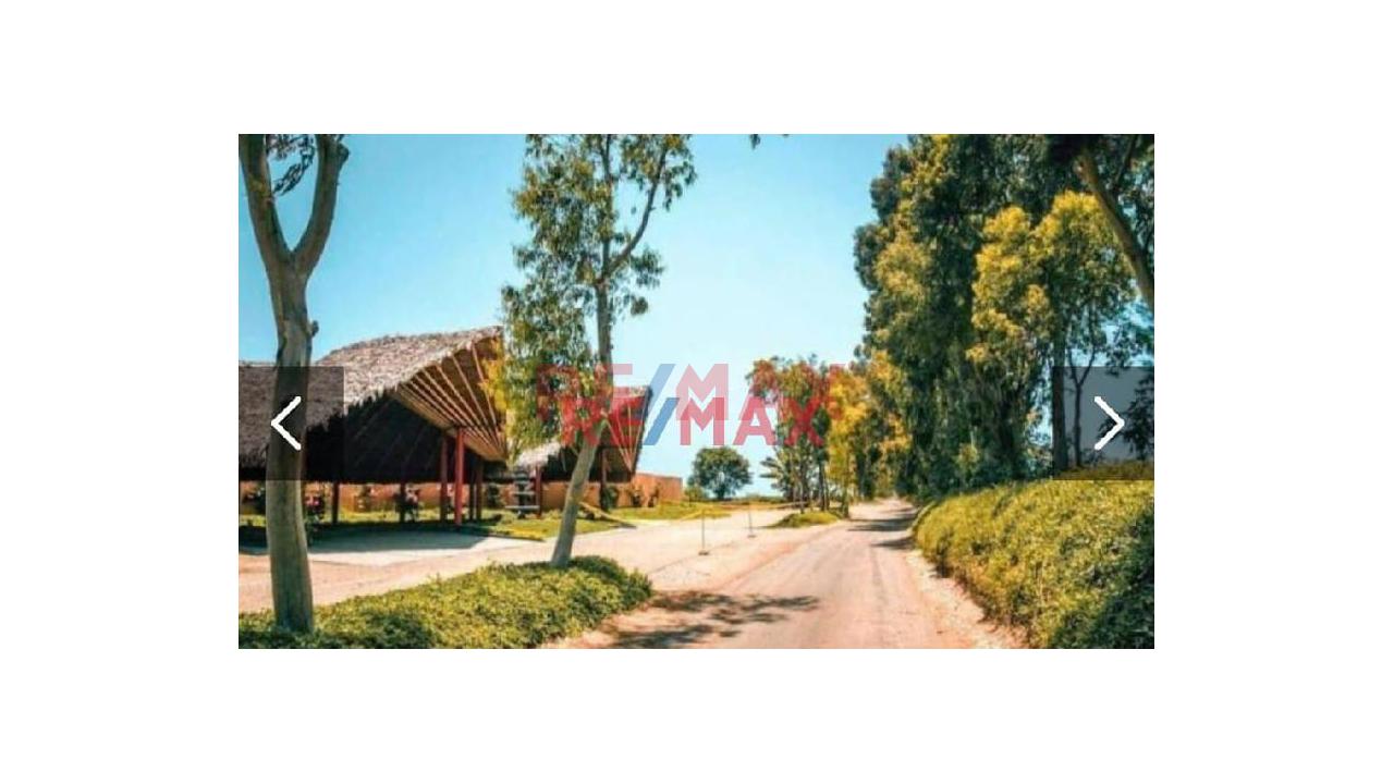 Venta De Terreno En Condominio Playa Del Carmen - 5