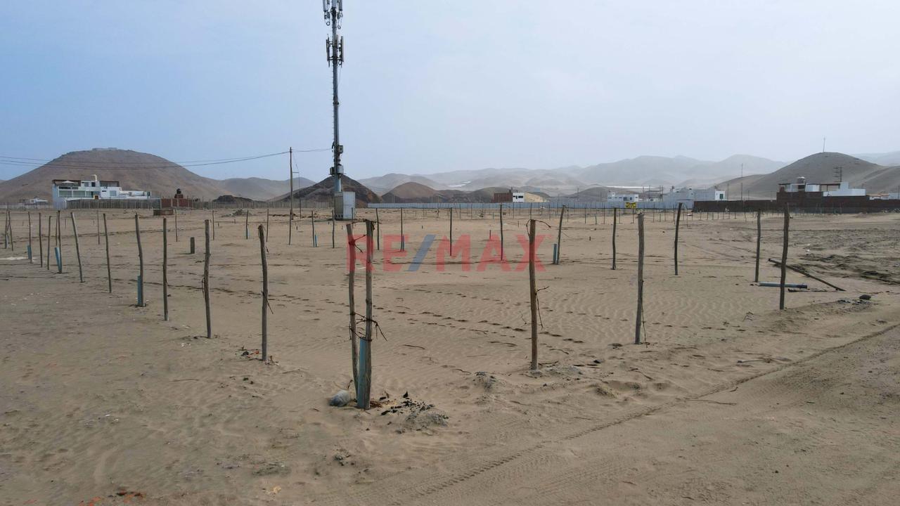 Venta Terreno Playa Los Lobos Con 3 Frentes En Cerro Azul Cañete — foto 7
