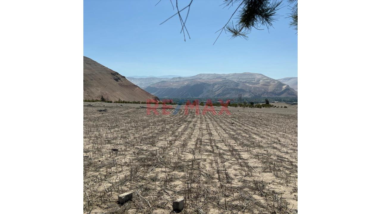 En Venta Terreno Agricola Con Alto Potencial De Valorización - 2