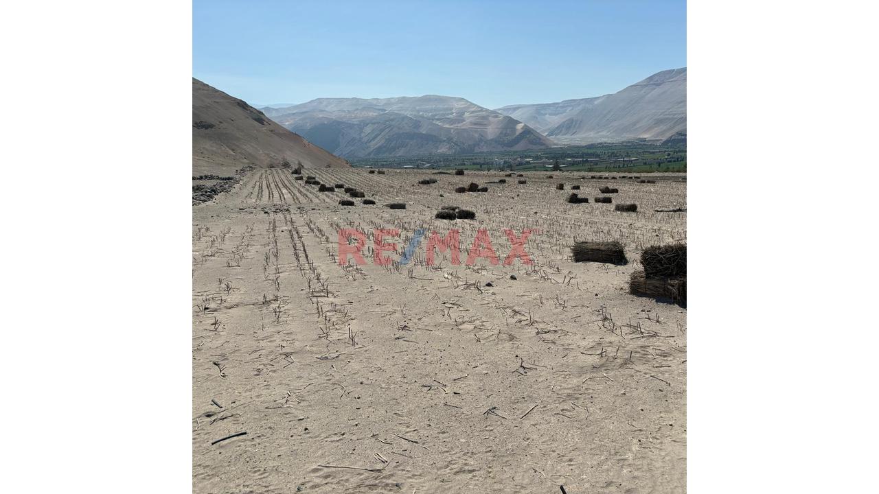 En Venta Terreno Agricola Con Alto Potencial De Valorización - 10