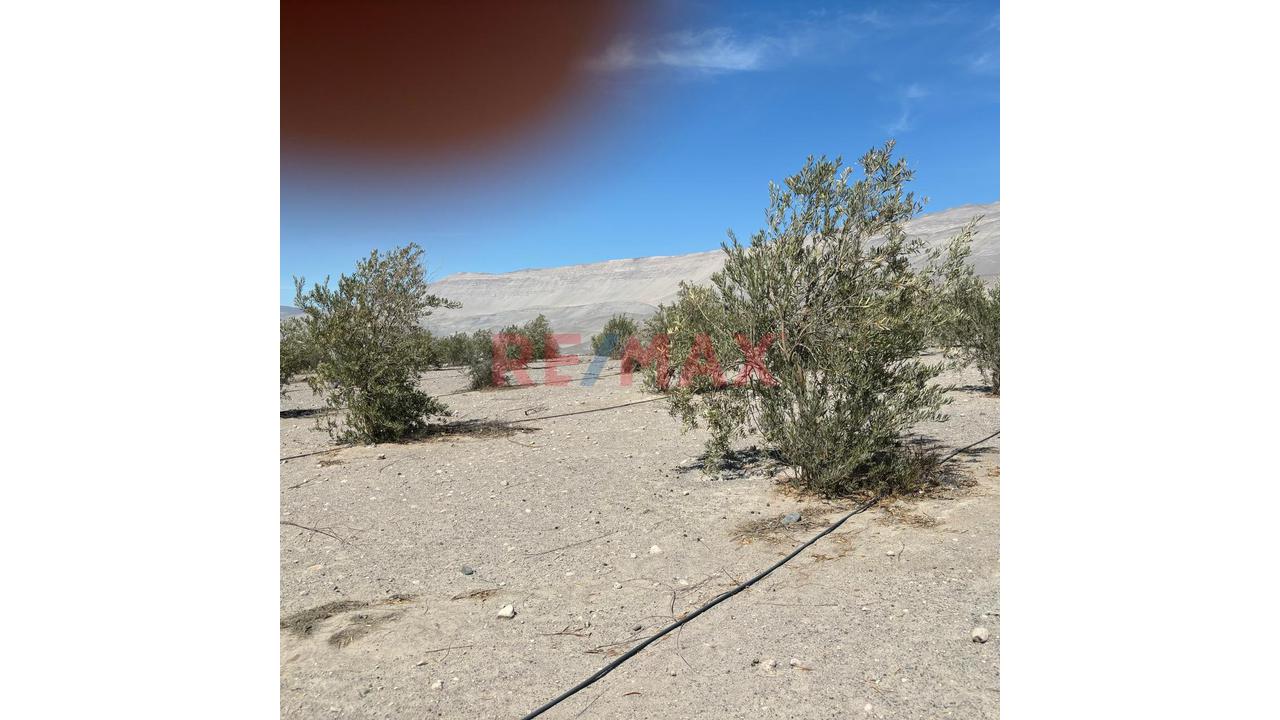 En Venta Terreno Agricola Con Alto Potencial De Valorización - 8