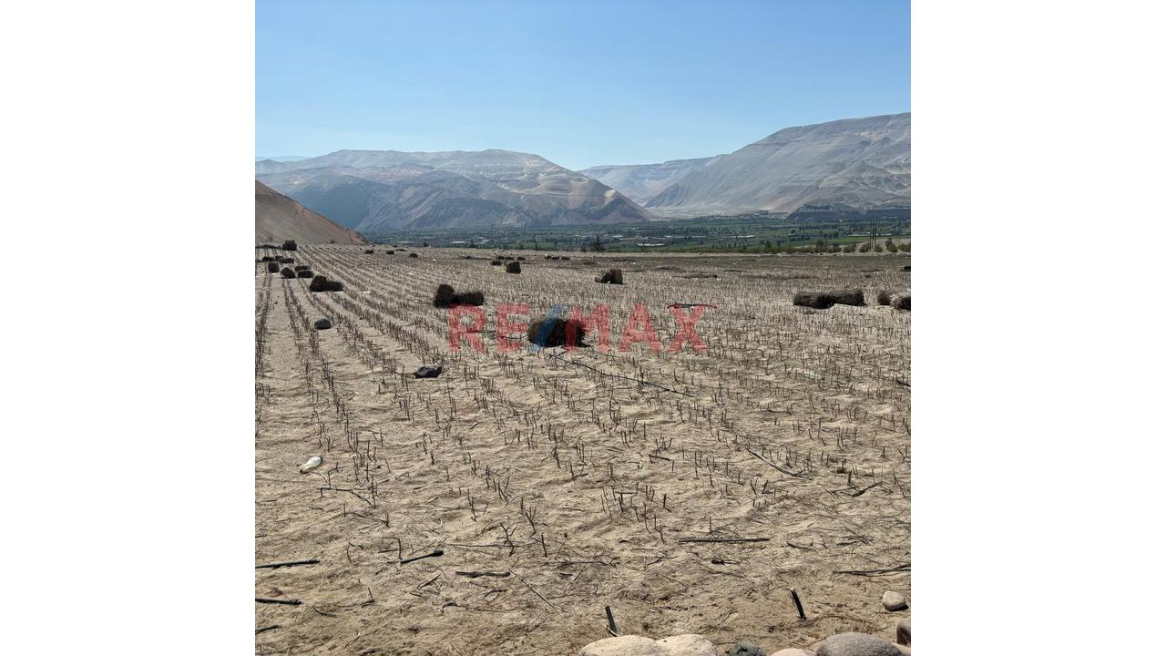 En Venta Terreno Agricola Con Alto Potencial De Valorización - 5