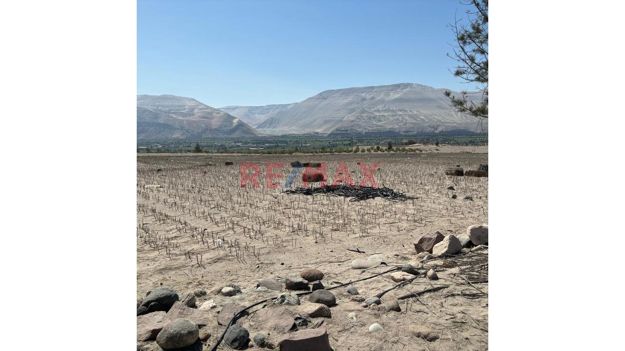 En Venta Terreno Agricola Con Alto Potencial De Valorización - 12