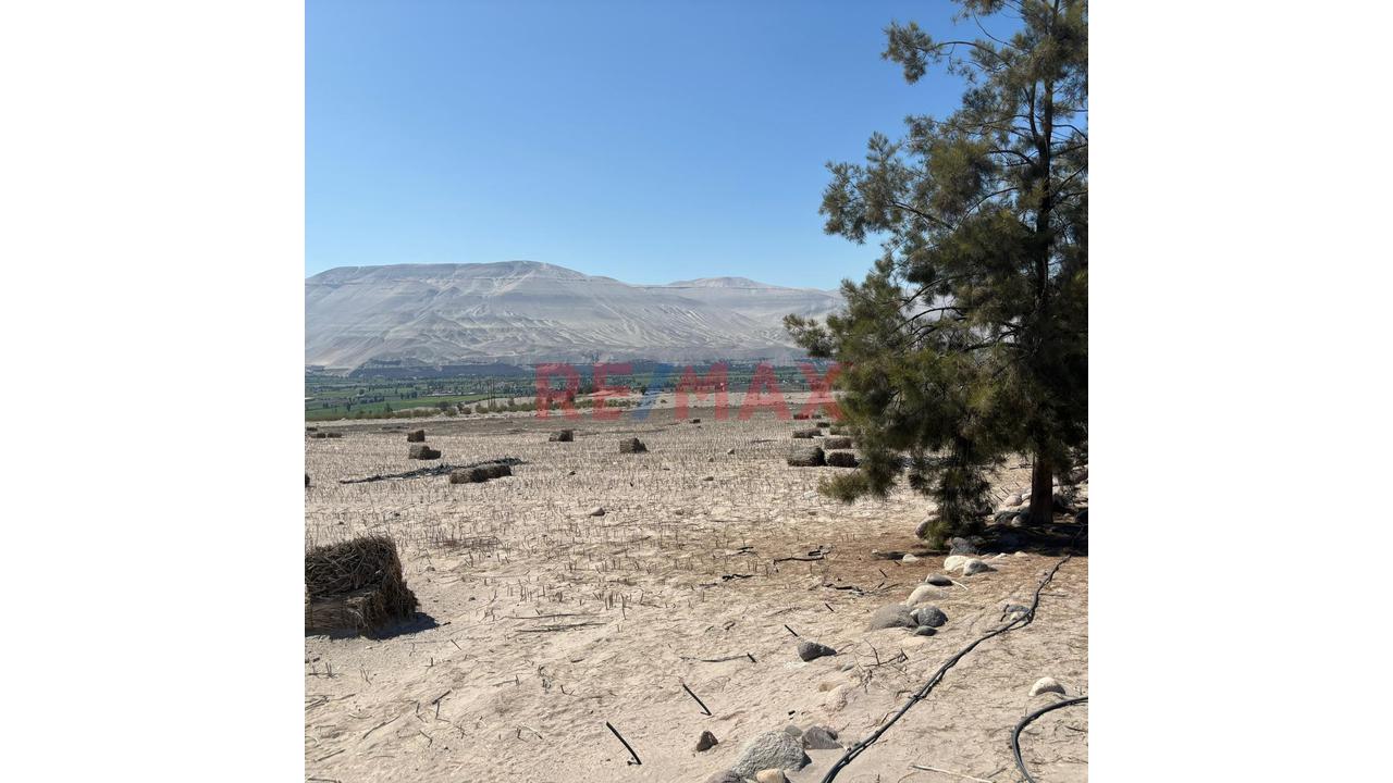 En Venta Terreno Agricola Con Alto Potencial De Valorización - 3