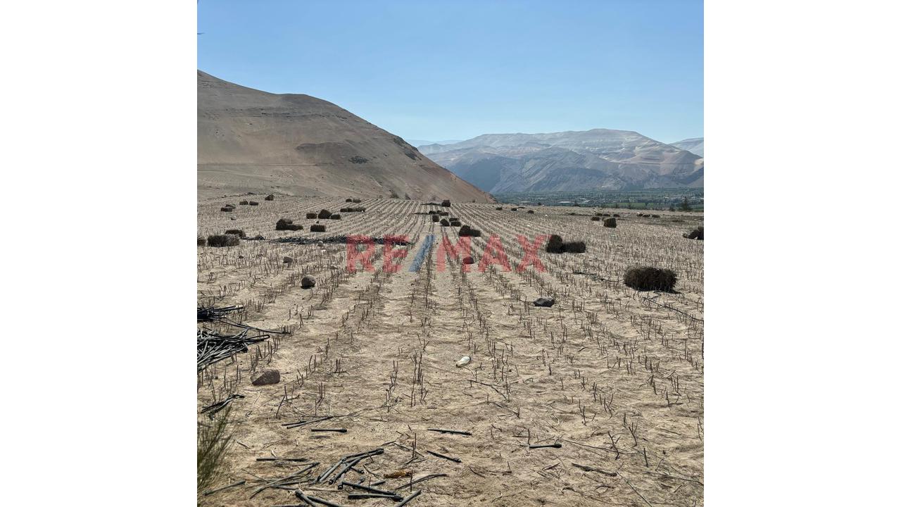 En Venta Terreno Agricola Con Alto Potencial De Valorización - 4
