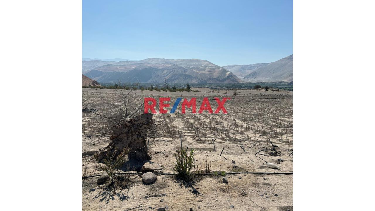 En Venta Terreno Agricola Con Alto Potencial De Valorización - 1