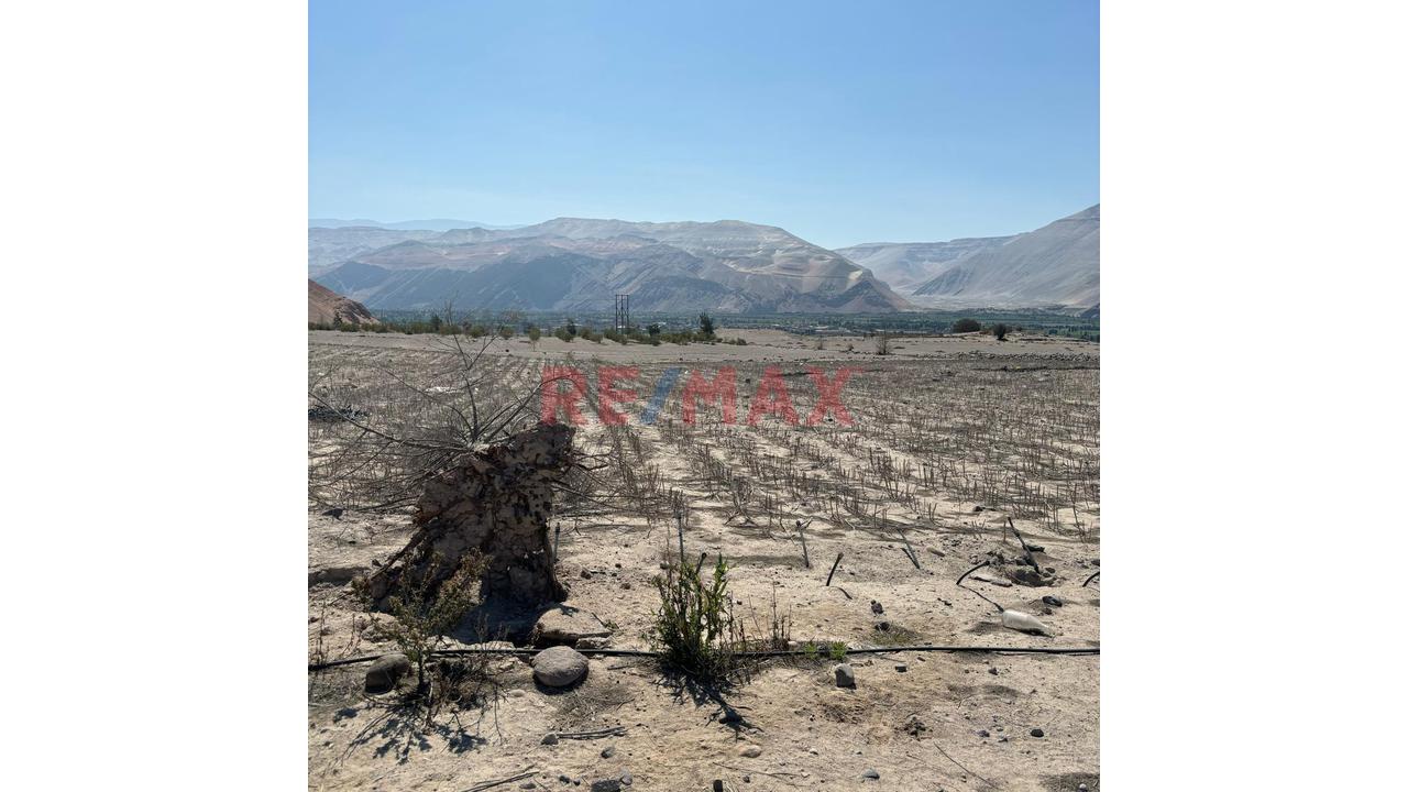 En Venta Terreno Agricola Con Alto Potencial De Valorización - 6