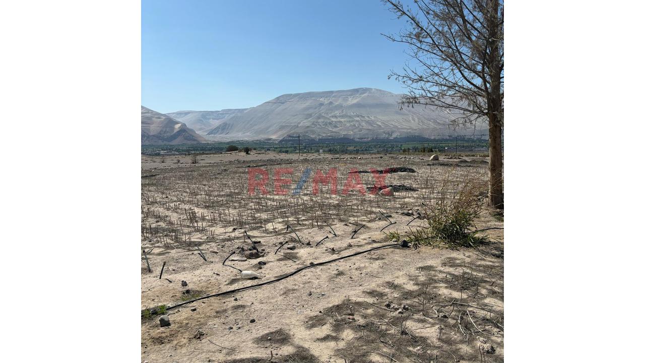 En Venta Terreno Agricola Con Alto Potencial De Valorización - 13