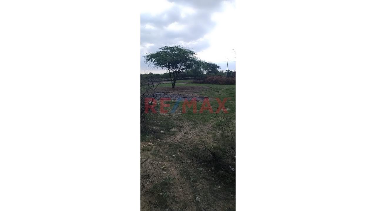 Venta De Terreno En Villa La Palma - 3