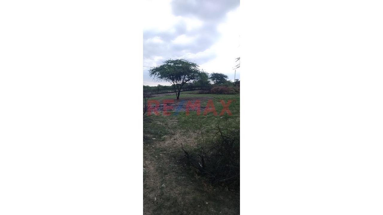 Venta De Terreno En Villa La Palma - 2