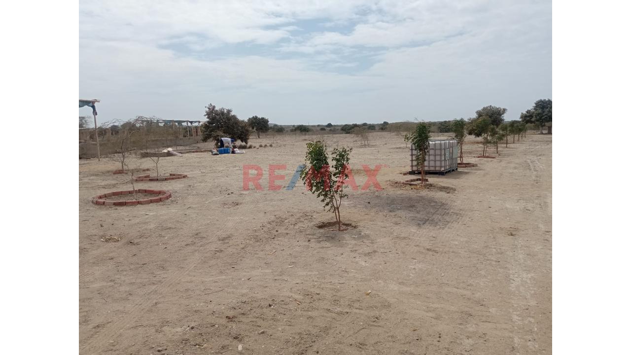 Venta De Terreno En Villa La Palma - 4