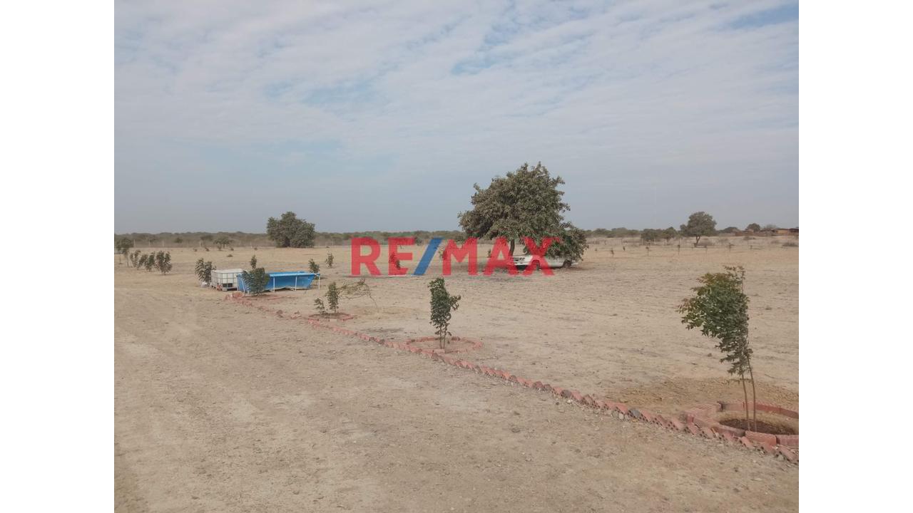 Venta De Terreno En Villa La Palma - 1