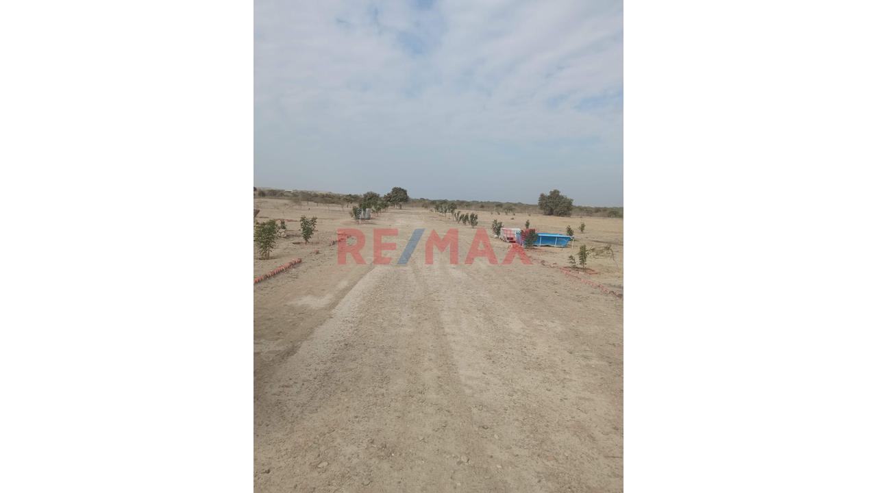 Venta De Terreno En Villa La Palma - 2