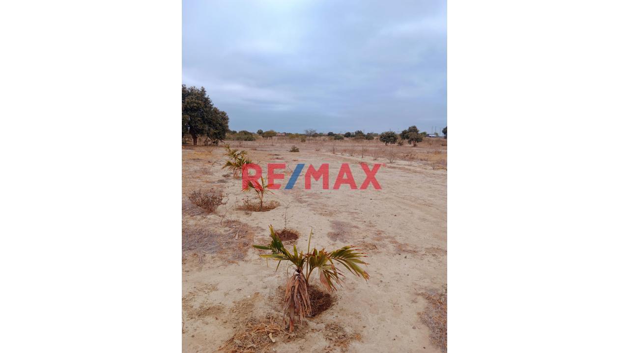 Venta De Terreno En Villa La Palma - 1