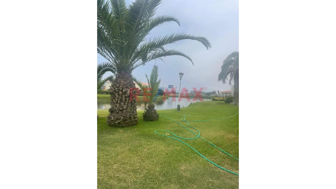 ¡Oportunidad Única Terrreno En San Pedro! - 4