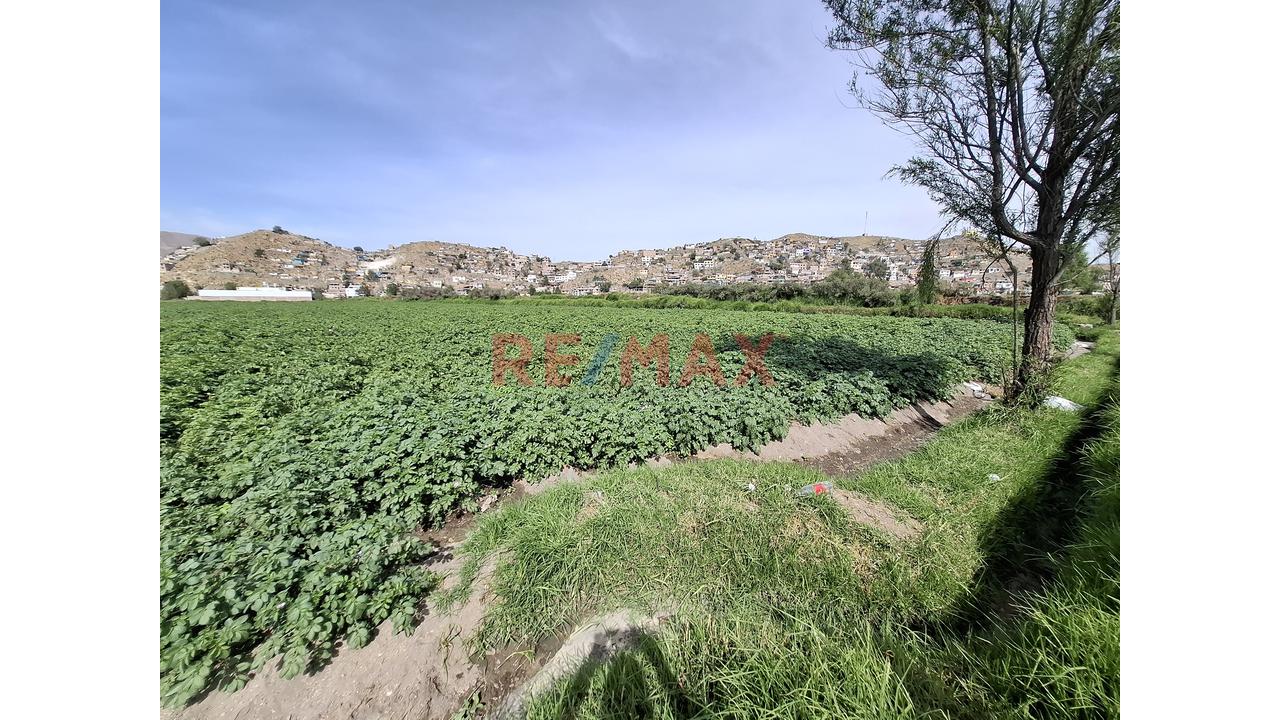 Oportunidad Única – Terreno En Venta En Sachaca (Zona El Potrero) - 3