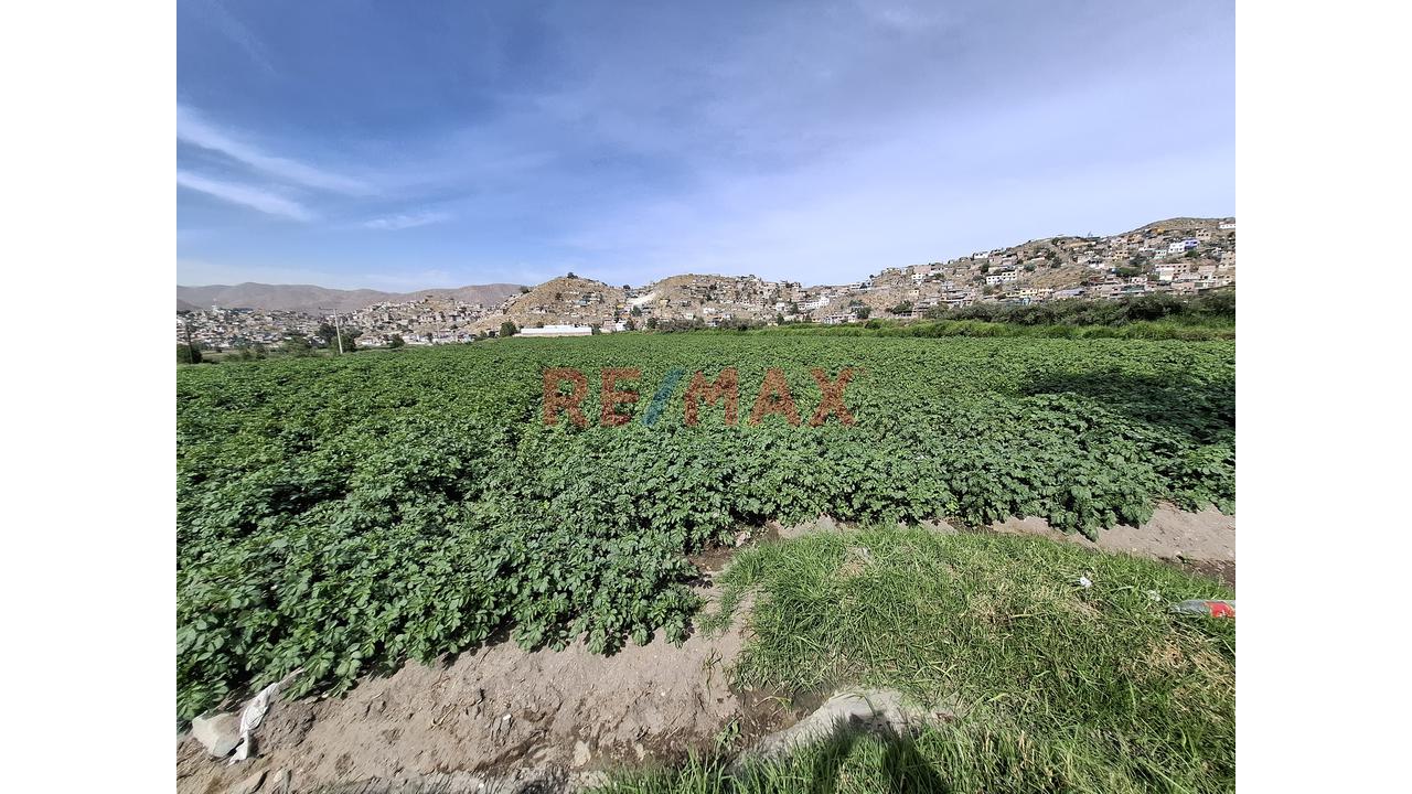 Oportunidad Única – Terreno En Venta En Sachaca (Zona El Potrero) - 5