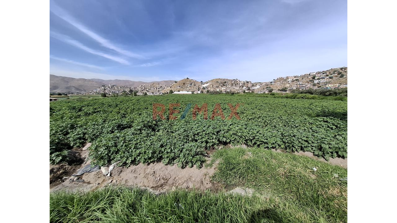 Oportunidad Única – Terreno En Venta En Sachaca (Zona El Potrero) - 4