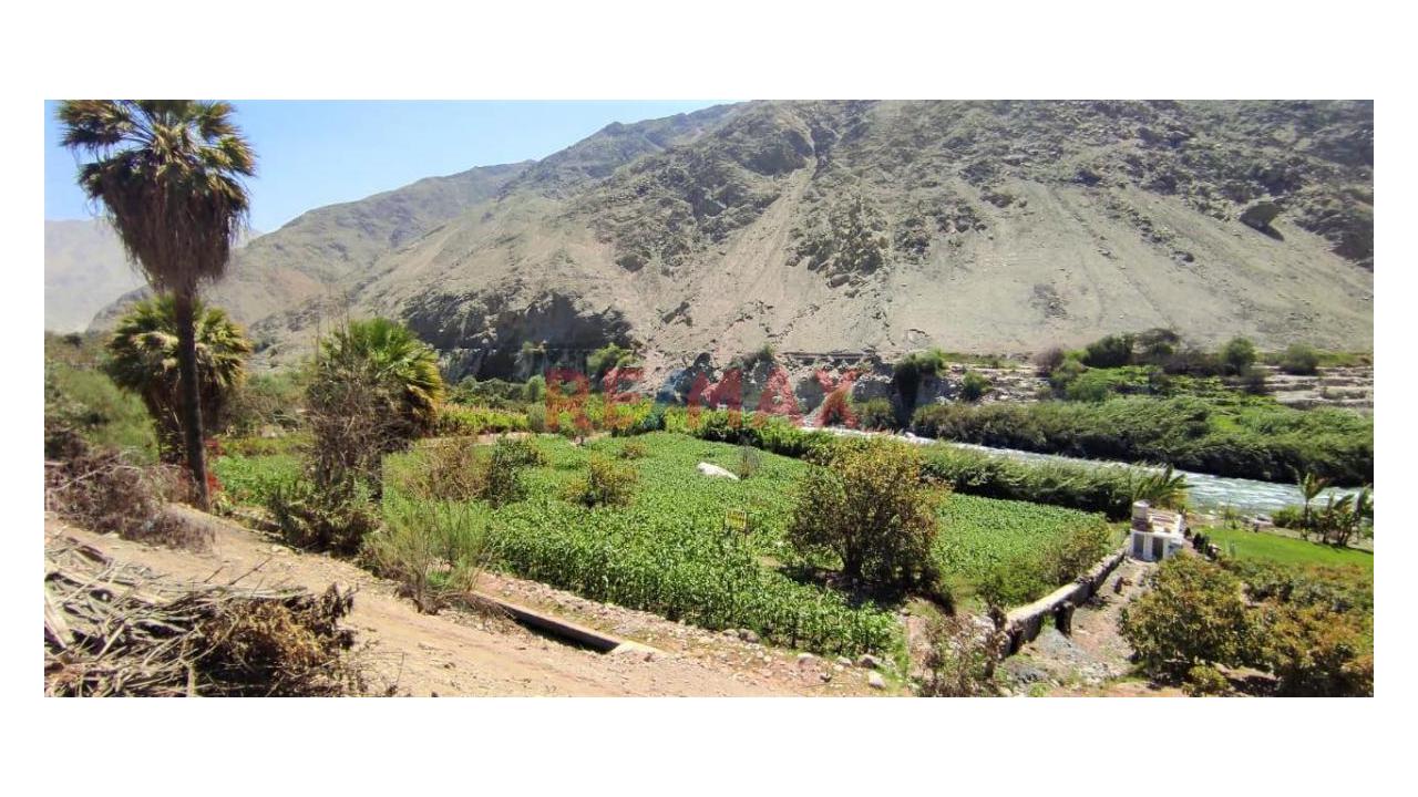 Terreno Venta Lunaguana Zona Turística - 11