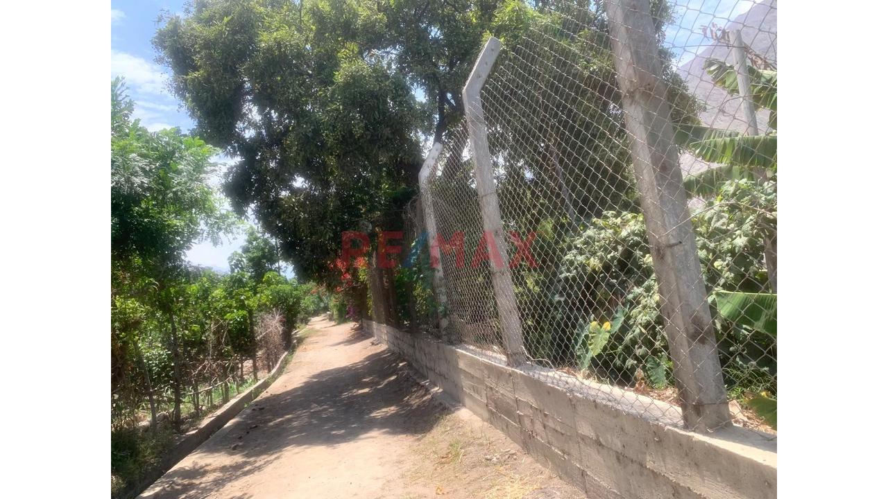 Terreno Venta Lunaguana Zona Turística - 10