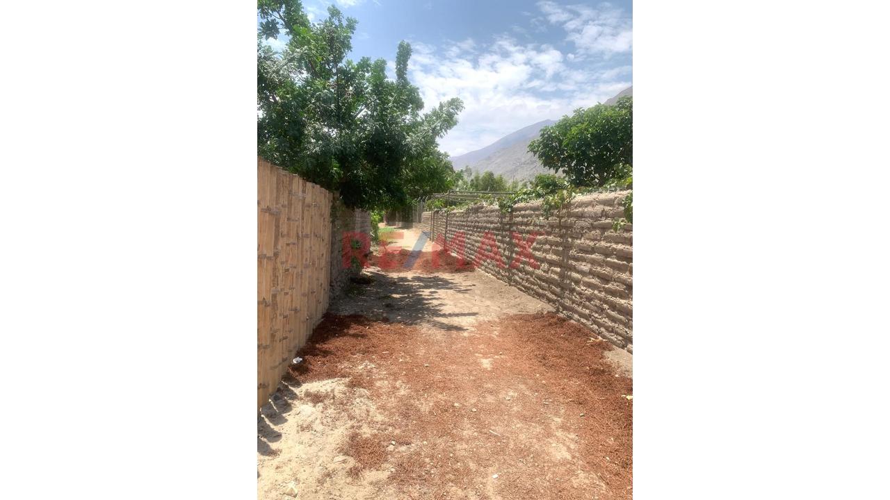 Terreno Venta Lunaguana Zona Turística - 6
