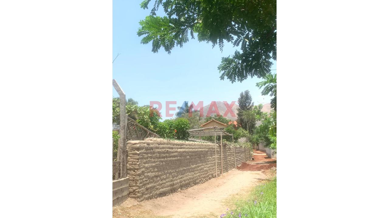 Terreno Venta Lunaguana Zona Turística - 3