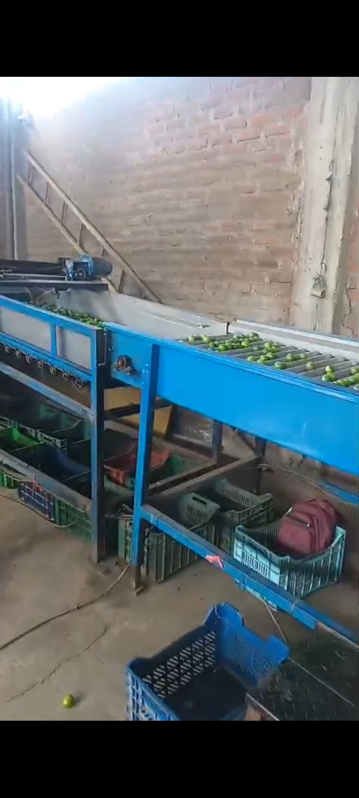 Se Vende Local Comercial Con Máquina De Procesamiento De Limón En Cieneguillo Centro Carretera Sullana Tambogrande Sector San Juan De Los Ranchos ( La Limonera) - 10