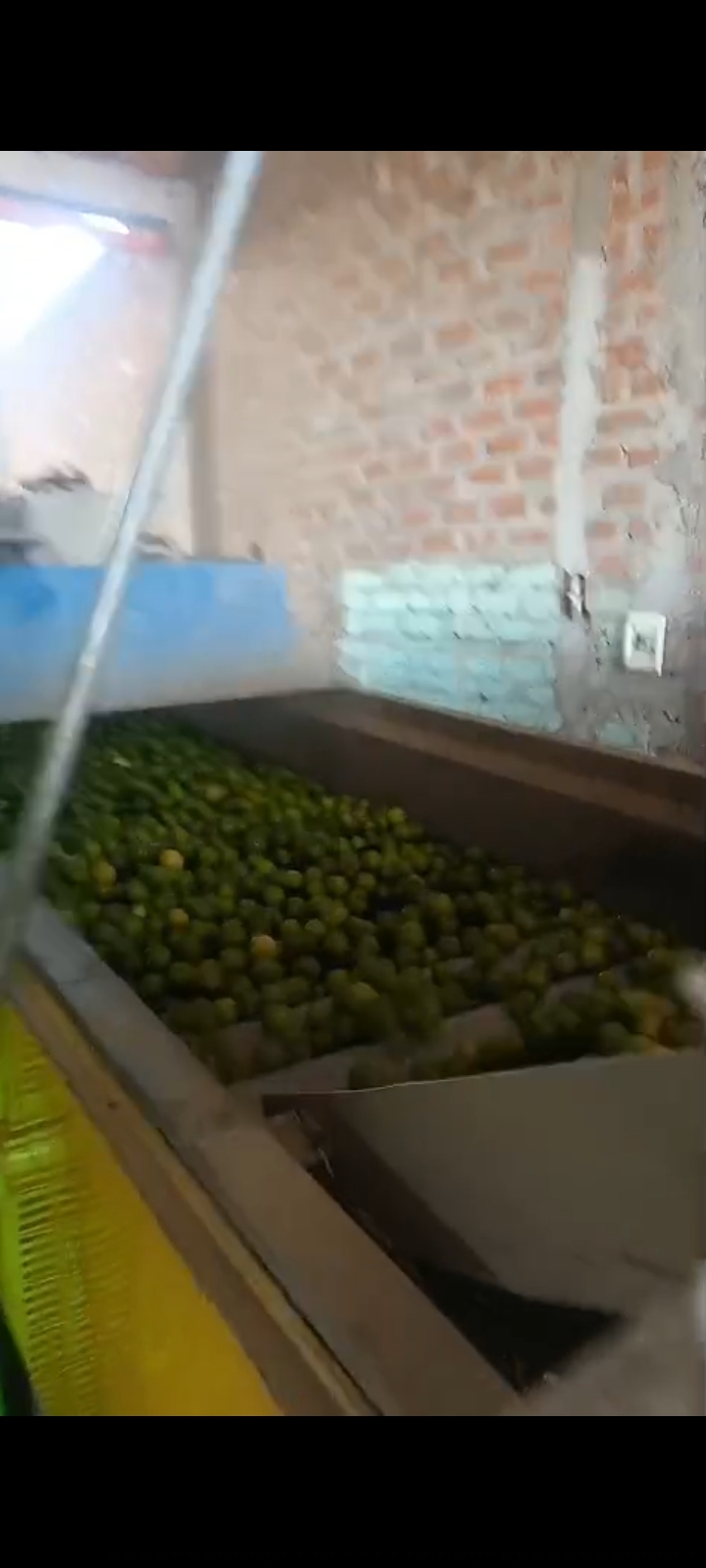 Se Vende Local Comercial En Cieneguillo Centro Sector San Juan De Los Ranchos (La Limonera) Carretera Sullana Tambogrande, Con Máquina Procesadora De Limón En Pleno Funcionamiento - 7