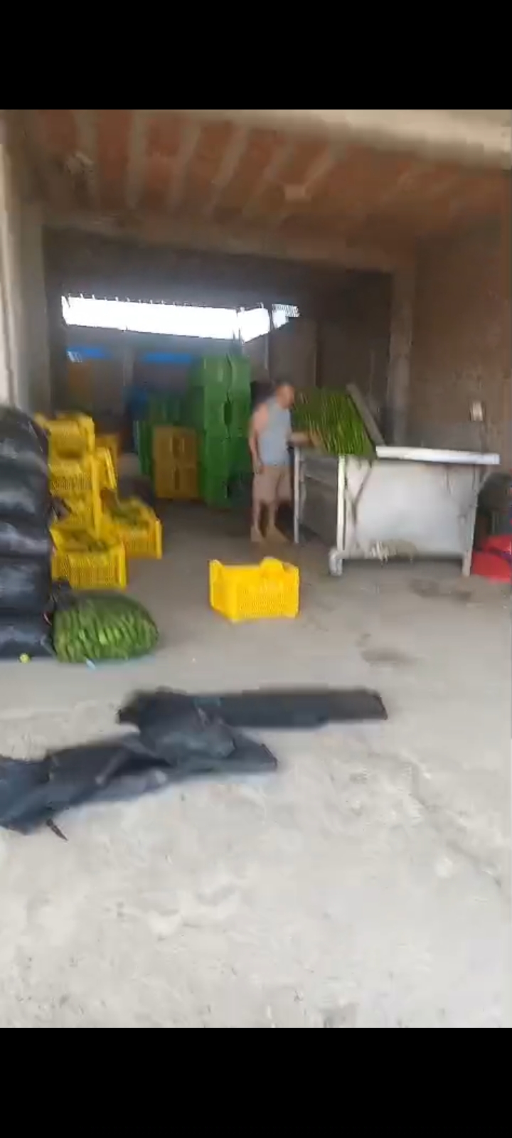 Se Vende Local Comercial En Cieneguillo Centro Sector San Juan De Los Ranchos (La Limonera) Carretera Sullana Tambogrande, Con Máquina Procesadora De Limón En Pleno Funcionamiento - 3