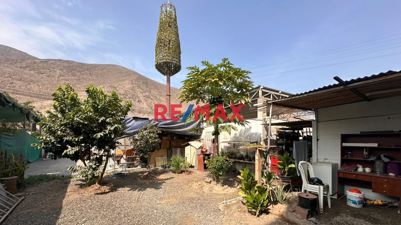 Alquiler De Local Comercial 477.97 M² En La Molina – Av. La Molina, Urb. El Sol De La Molina - 1