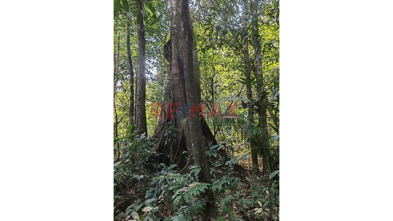 🔥🌿 ¡Inversión De Alto Impacto En El Corazón De La Selva Peruana! 🌿🔥 — foto 3