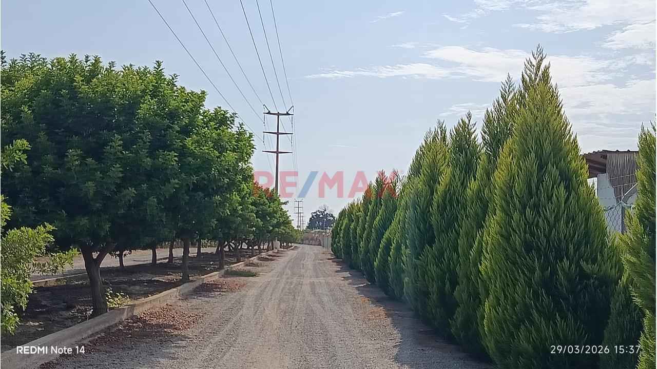 🌿 Exclusivo Terreno En Venta – Condominio La Rioja, El Carmen – Chincha 🌿 - 4