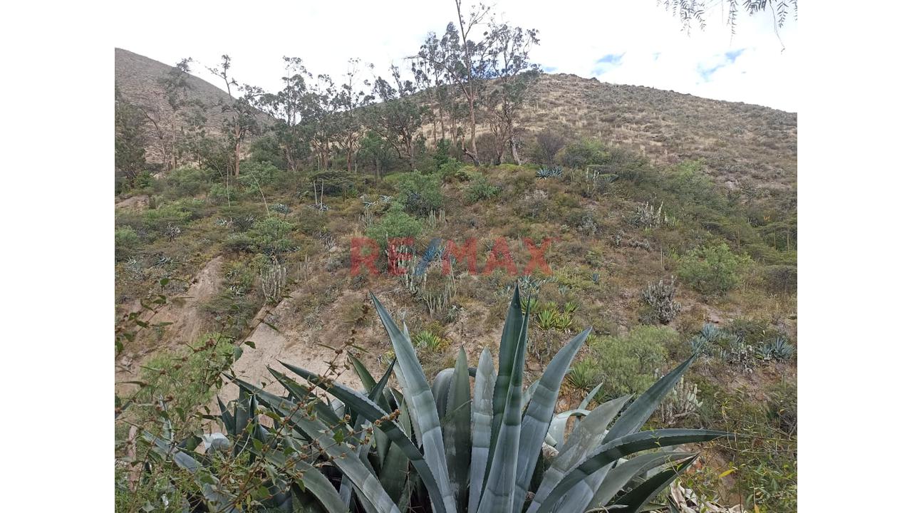 🌿💧 Fundo Shangol Con Aguas Termales – Cerca Al Cañón Del Pato, Caraz 🏔️ - 3