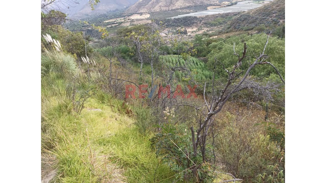 🌿💧 Fundo Shangol Con Aguas Termales – Cerca Al Cañón Del Pato, Caraz 🏔️ - 5